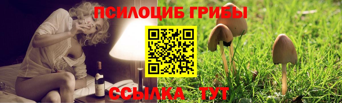 закладки  Галлюциногенные грибы ЛСД  Вход с VPN  Верхняя Пышма 