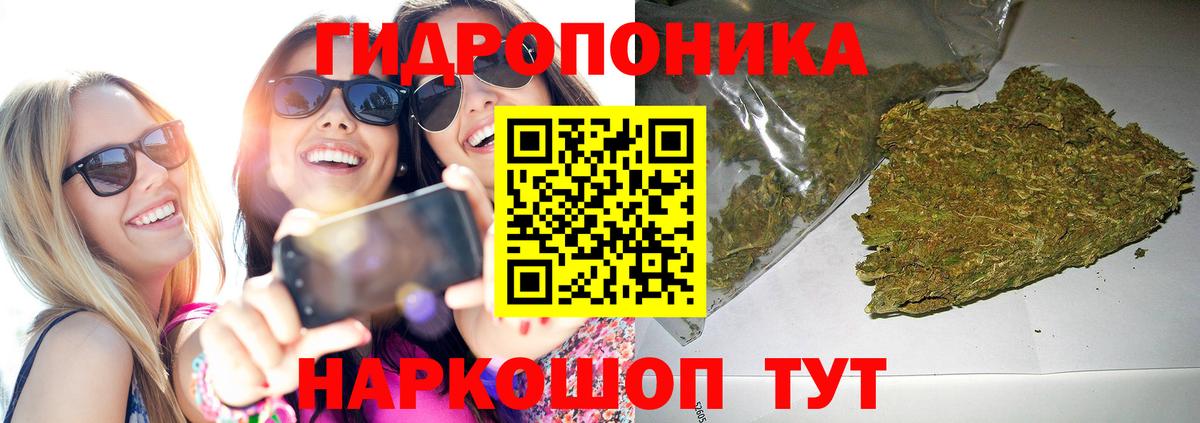 Конопля конопля  Вход с VPN  Верхняя Пышма  Шишки марихуана тримм 